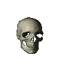RotatingSkull