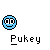 Pukey